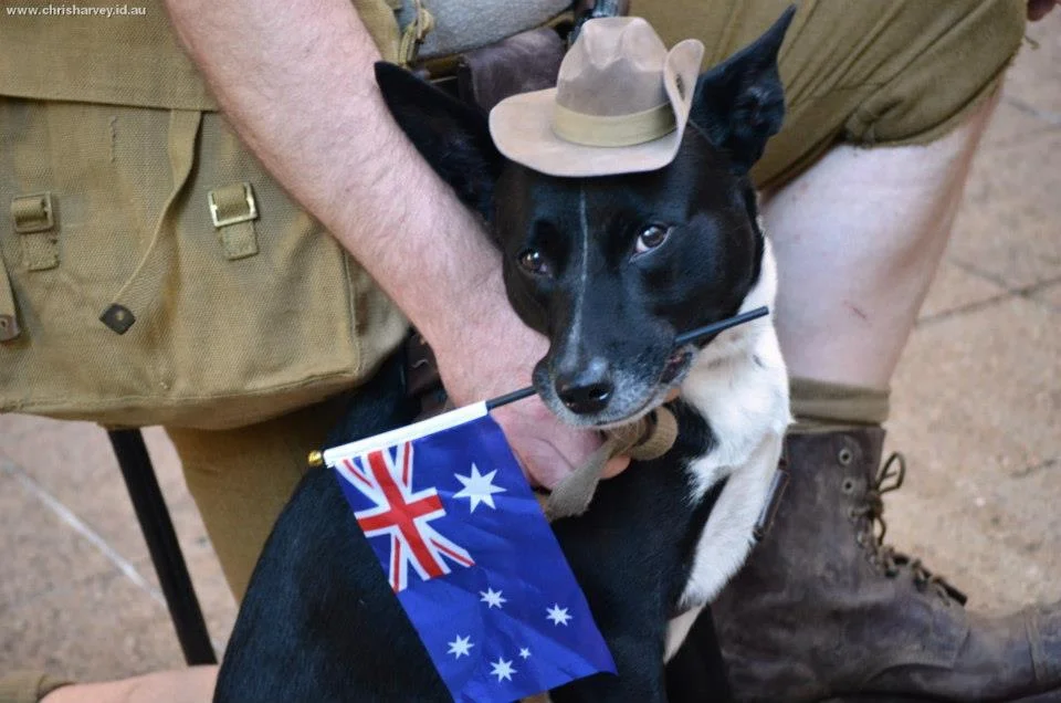 A dog in a small Akubra holding a flag in his teeth while his owner marched. Some photographs do not need a caption.