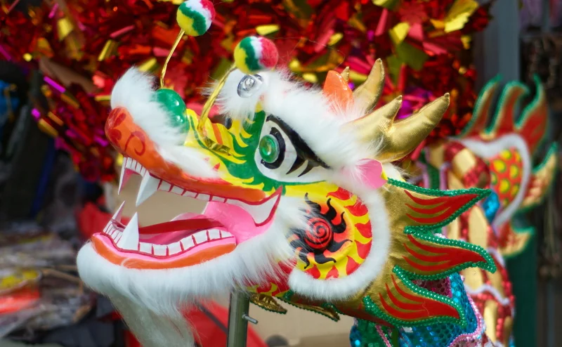 Up close, a dragon costume is an explosion of colour and craft. The eyes are glass, the teeth are painted, and it is completely alive.