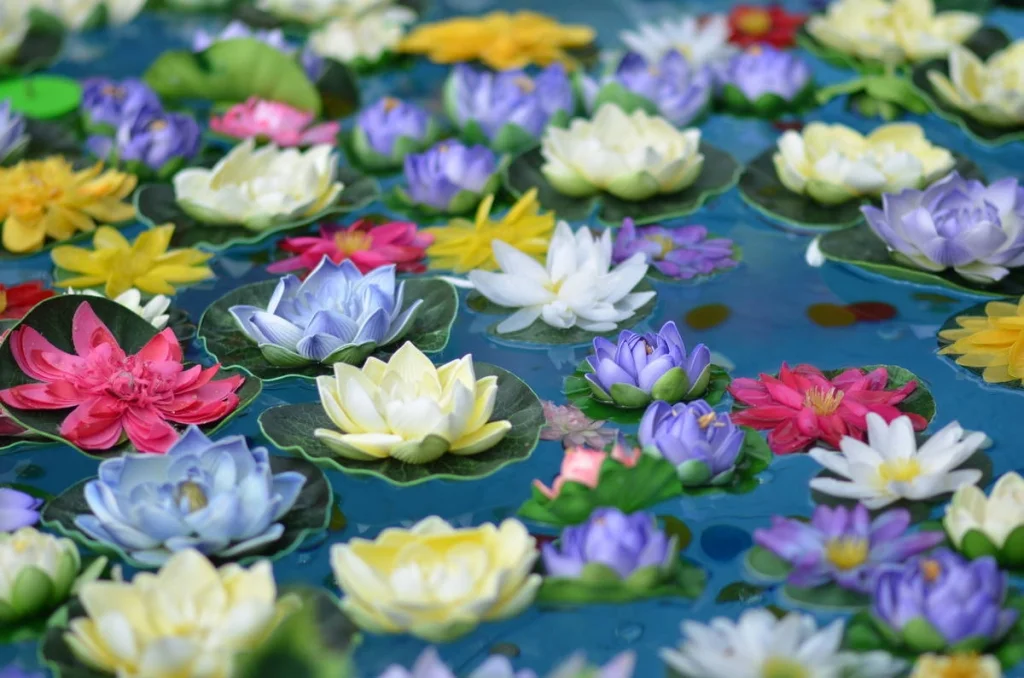 Artificial lotus flowers in every colour floating on a tray of water. The arrangement took effort. Photographing it took about thirty seconds.