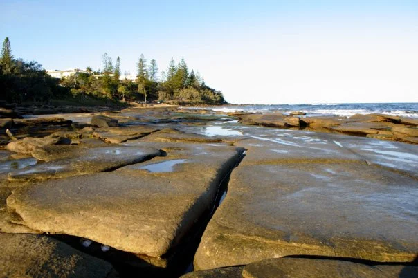 The cracked rock shelf leading to the headland, the Norfolk pines at the top, the sea on both sides. Caloundra at low tide.
